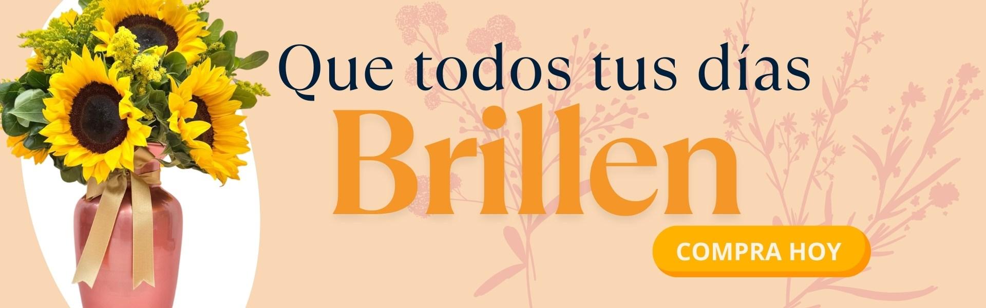flores|flores cartagena|envio a domiclio 